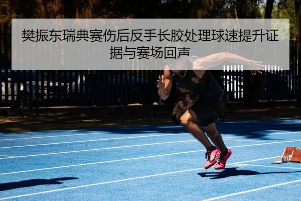 樊振东瑞典赛伤后反手长胶处理球速提升证据与赛场回声